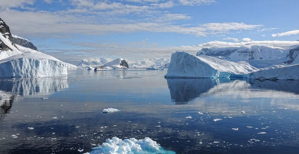 Apele din jurul Antarcticii sunt mai acide şi au nivel scăzut de oxigen