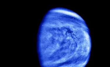Este posibil ca viața de pe Venus să ajungă acolo de pe Pământ?
