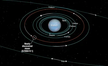 Hubble a descoperit un mic satelit: de astăzi Neptun se mândreşte cu 14 „luni”