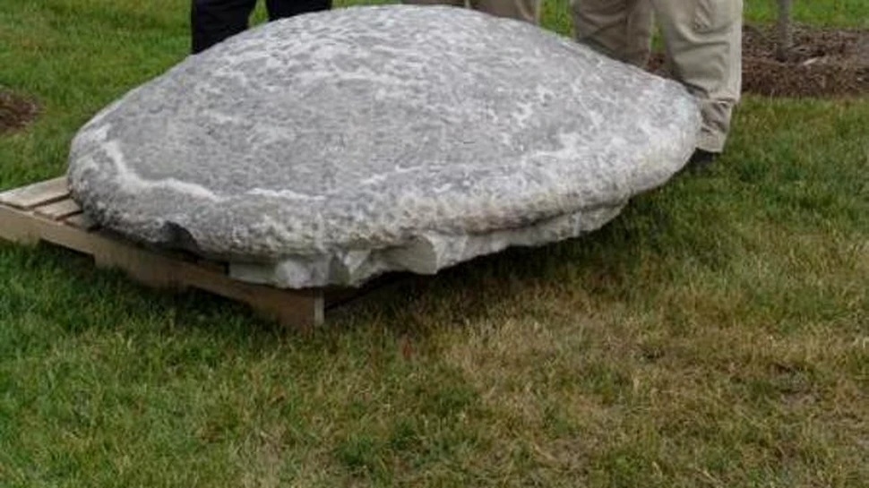 Cel mai bine conservat stromatolit a fost descoperit in Virginia