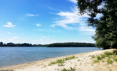 Poluare pe Dunăre, în zona portului Turnu Măgurele. Anunțul făcut de Apele Române!