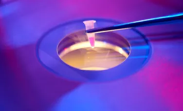 Tot mai multe femei apelează la congelarea ovocitelor. Dar ce înseamnă asta?