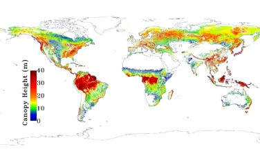 NASA a realizat harta detaliată a pădurilor de pe Terra
