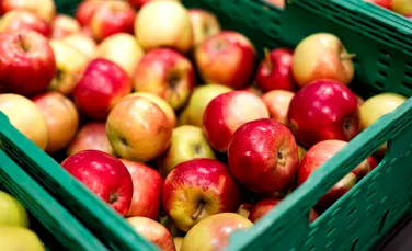 „Cocktailuri de pesticide” au fost descoperite în merele vândute în Europa