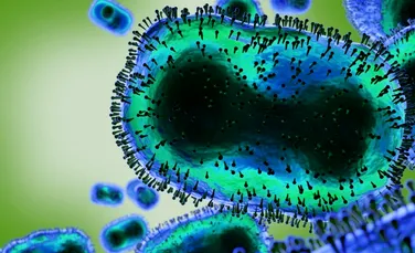 Ce este variola maimuței și ce șanse există pentru o nouă pandemie? Tot ce trebuie să știm