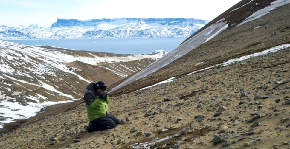 O comoară ”cu adevărat însemnată”a fost găsită în Antarctica – VIDEO