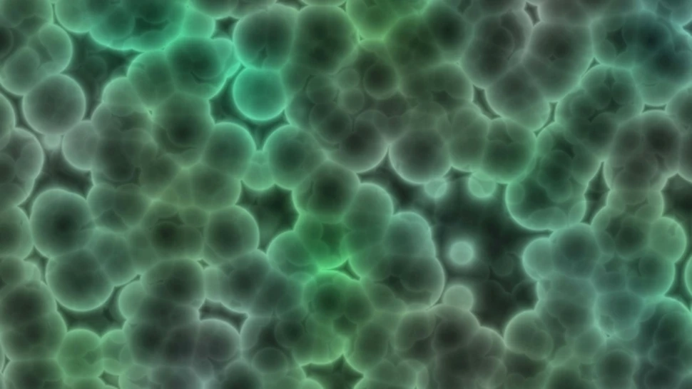 Bacteriile vor fi folosite pentru a produce energie electrică nepoluantă