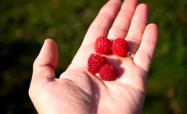 Care sunt obiceiurile alimentare care te pot îmbătrâni mai repede și cum să le corectezi?