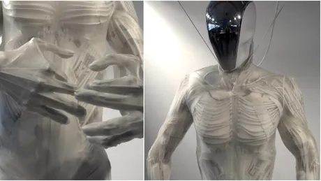 VIDEO: Cel mai corect robot din punct de vedere anatomic creat vreodată își flexează mușchii