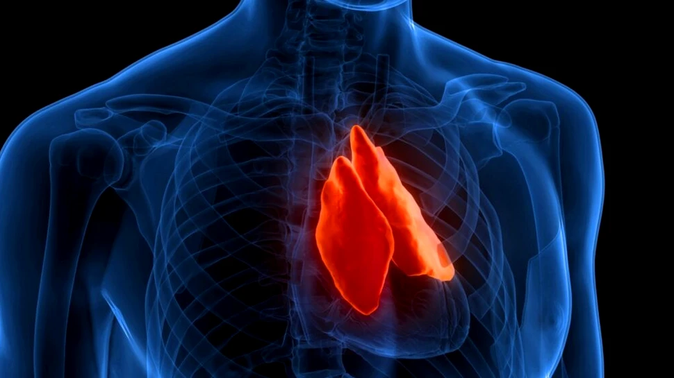 Un organ uitat ar putea prezice cât de mult vei trăi