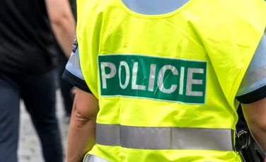 Descoperire sinistră în casa unei femei din Cehia: ținea pui de pisică morți într-un congelator