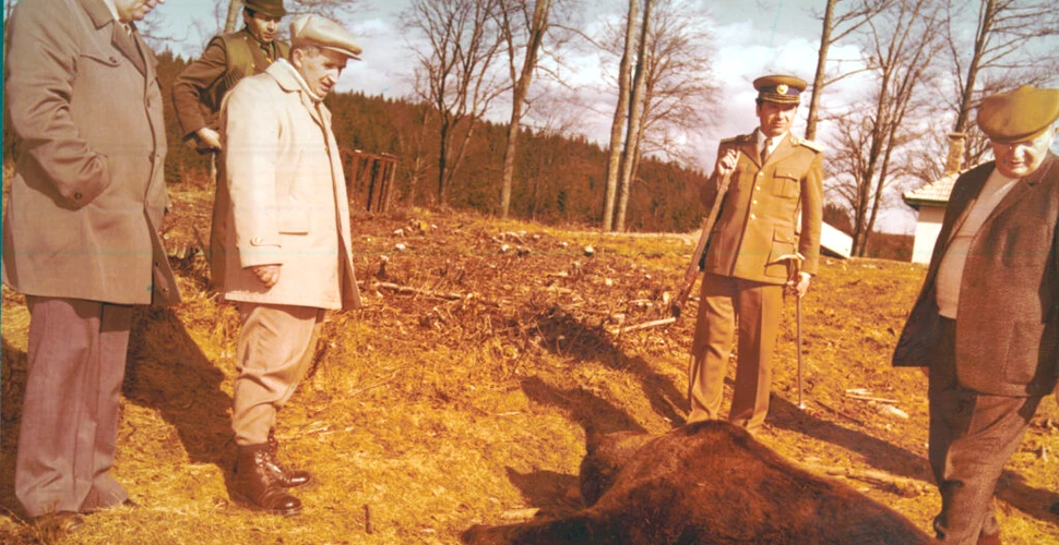 Nicolae Ceaușescu la vânătoare: „Trăgea la tot. Nu ierta nimic”