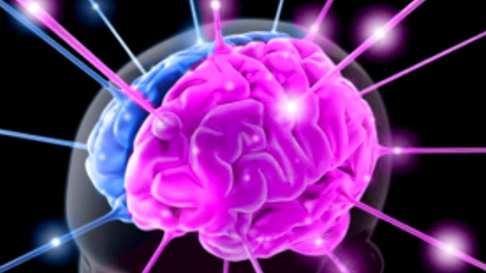 Bio-gelul miraculos regenereaza tesutul cerebral
