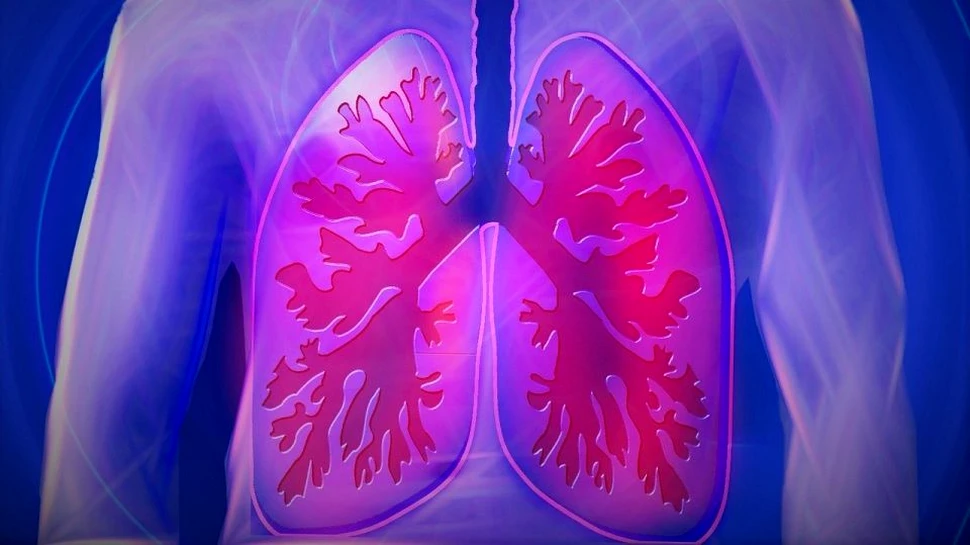 Algoritmii pot fi folosiţi pentru a detecta ADN-ul cancerului pulmonar în mostrele de sânge