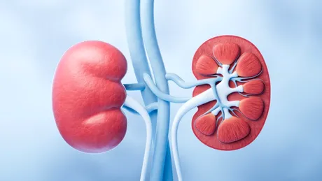 Cercetătorii au schimbat grupa de sânge a unui rinichi. Ce s-a întâmplat după ce l-au transplantat la o persoană în moarte cerebrală?