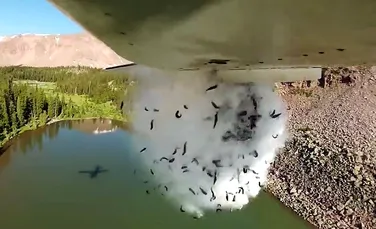 Metoda inedită folosită de americani pentru a introduce peşti într-un lac de munte – VIDEO