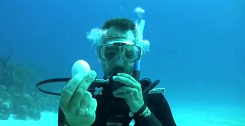 Experiment inedit: ce se întâmplă dacă spargeţi un ou sub apă. Puţini s-ar aştepta la asta (VIDEO)