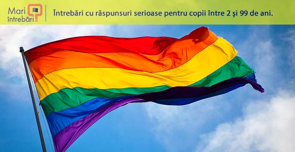 Cum a apărut steagul curcubeu, simbol al comunităţii LGBT?