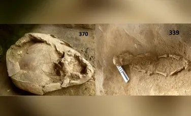 Doi bebeluşi care au murit acum 2.100 de ani, înmormântaţi cu ”căşti” realizate din cranii