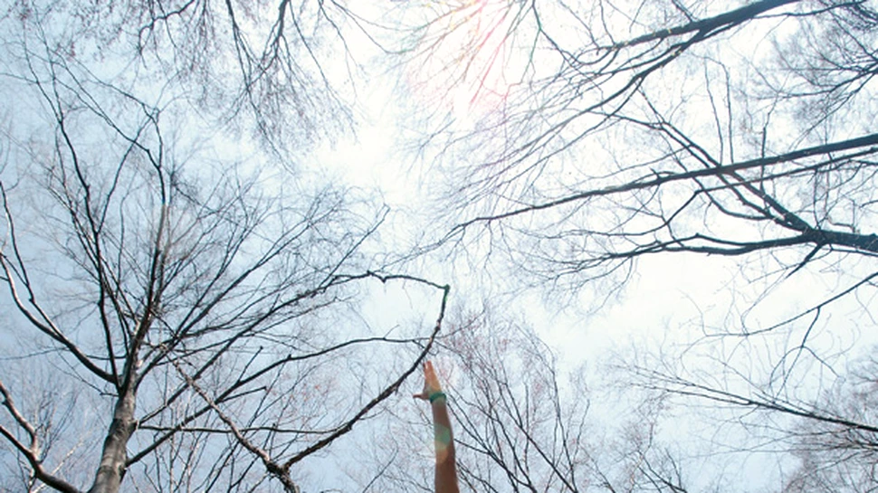 De-as fi bogatul bogatilor