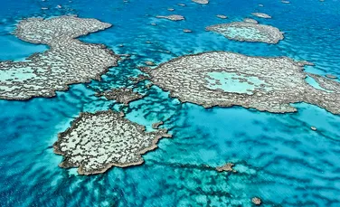 „Cel mai inteligent acvariu din lume” a fost inaugurat în Australia (FOTO)