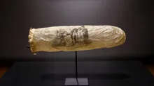 Ce au găsit cercetătorii într-un prezervativ vechi de 200 de ani, făcut din apendice de oaie?