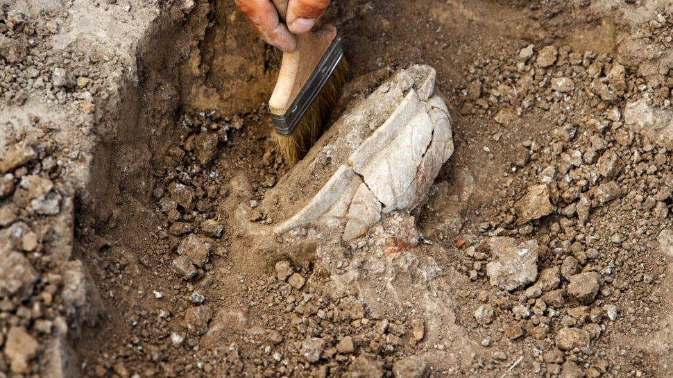 Oasele umane, folosite ca bijuterii preistorice. Ce au descoperit arheologii în 177 de morminte?