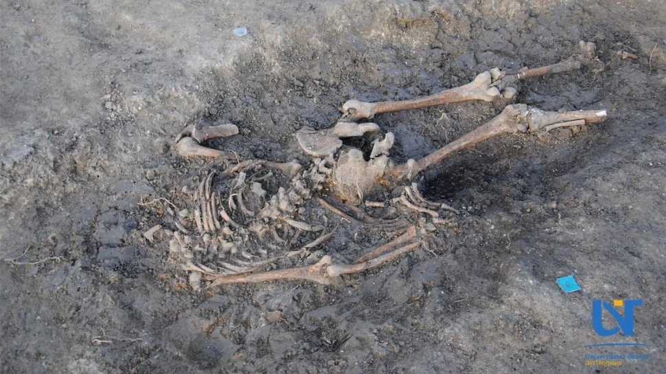 Mormânt comun din vremea ciumei, descoperit la Timişoara