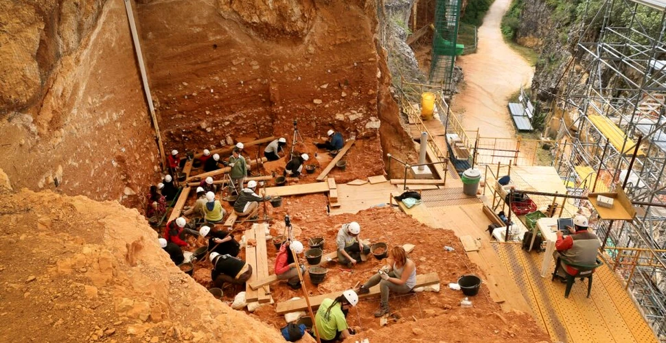 Oasele „primului european”, vechi de 1,4 milioane de ani, au fost găsite în Spania