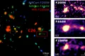 Astronomii ar fi surprins o galaxie timpurie chiar în timp ce se „stingea”