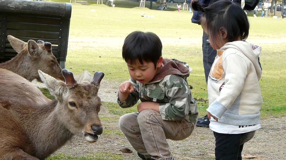 Situaţie alarmantă în Japonia: populaţia a scăzut pentru al 38-lea an consecutiv