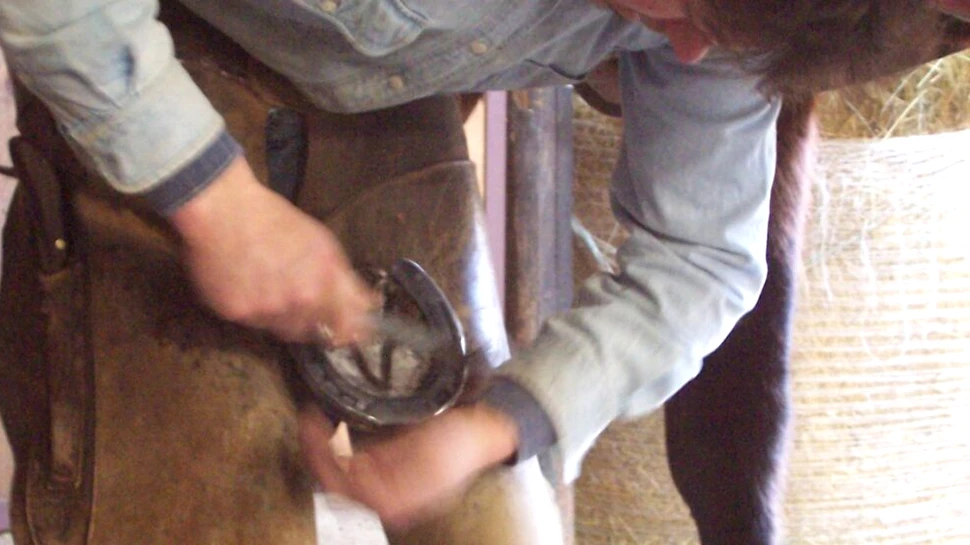 Test de cultură generală. De ce se spune că potcoavele aduc noroc?