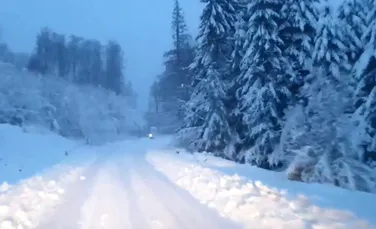 Peisaje de poveste create de zăpadă, în staţiunea Straja – VIDEO