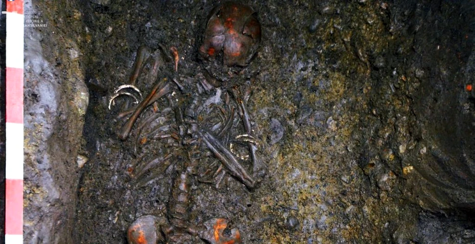Mormânt neolitic, descoperit în pivnița unui palat din centrul Cluj-Napoca
