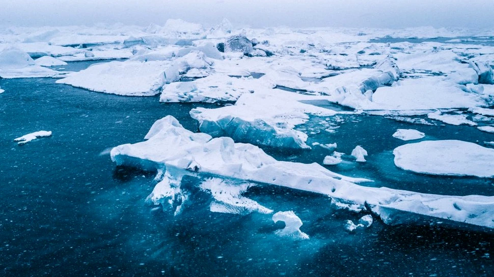 Efectul pe care îl are topirea gheții polare asupra planetei