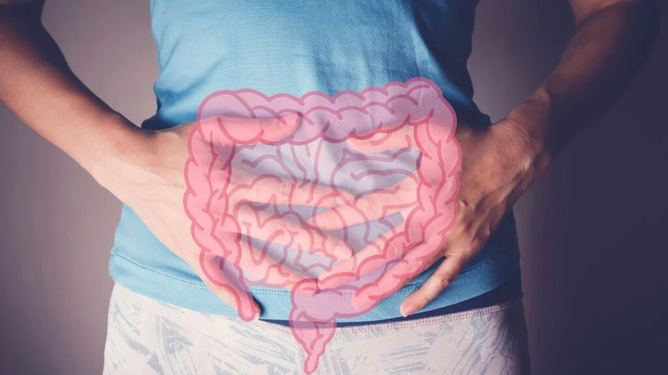 Bacteriile intestinale ar putea deveni o armă împotriva „chimicalelor eterne”