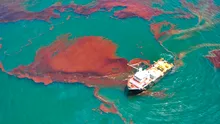 La 16 ani de la dezastrul petrolier Deepwater Horizon, viața din adâncurile Golfului Mexic nu dă semne de refacere