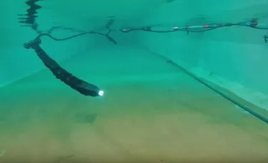Un şarpe robot face minuni sub apă – VIDEO