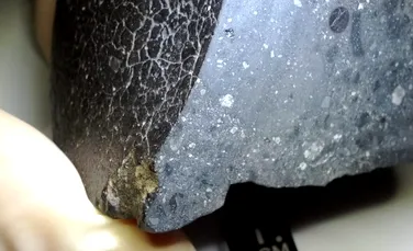 Un meteorit antic sugerează că apa ar fi existat pe Marte înainte ca viața să apară pe Pământ