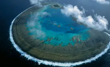 Australia investeşte jumătate de milion de dolari pentru salvarea Marii Bariere de Corali