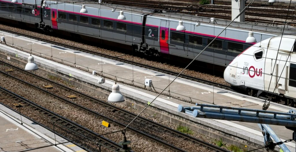 Amendă pentru operatorul feroviar al Franței după ce un tren a „tăiat în două” o pisică