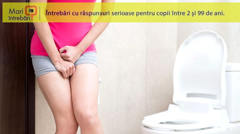 De ce îţi vine să mergi la toaletă atunci când ai emoţii?