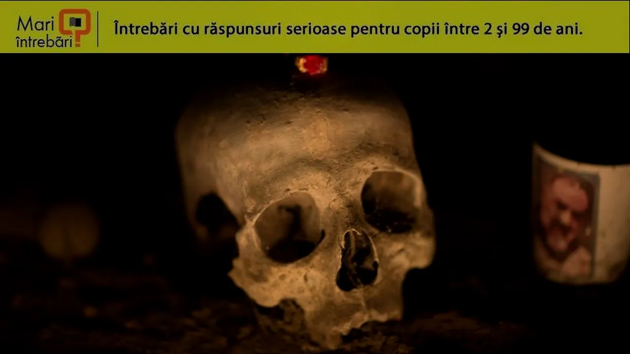 2-craniu-123rf-descopera 