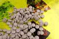 Românii vor primi pastile de iod, însă acestea nu ar trebui să fie administrate preventiv
