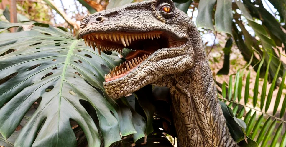 Doi dinozaur descoperiţi recent umplu un gol evolutiv important ce se întinde pe 70 de milioane de ani