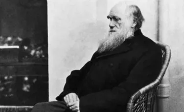 Creatiile lui Charles Darwin au fost postate pe internet