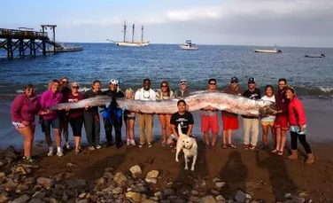 „O descoperire unică în viaţă”: monstrul marin lung de 5,5 metri (GALERIE FOTO)
