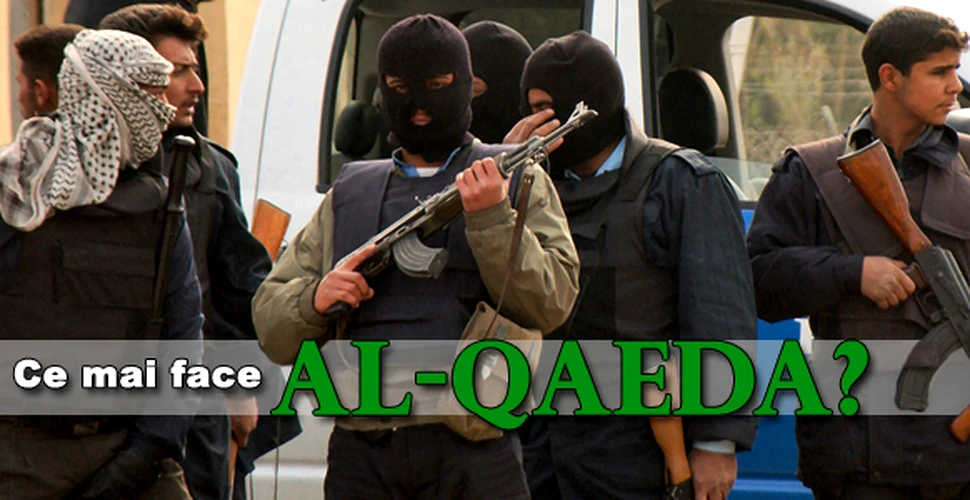 Ce mai face Al-Qaeda?