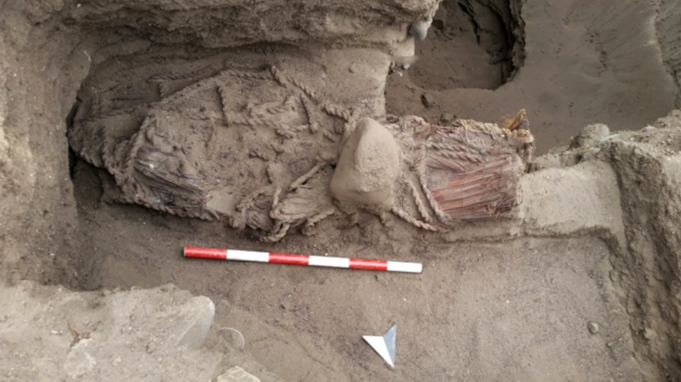 Un căutător de comori a descoperit un tezaur roman uimitor