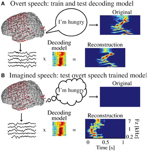 Semnalele neuronale observate în timpul vorbirii cu voce tare (sus) şi în gând (jos)